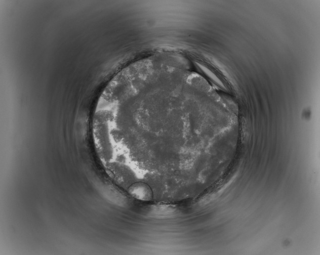 X0000100970451200807221213