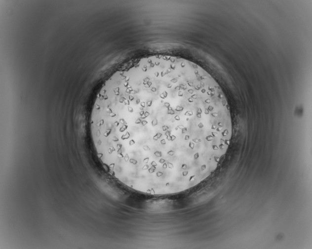 X0000100970452200807221213