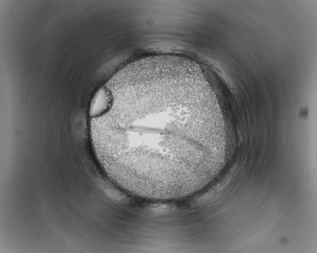 X0000100970453200807221213