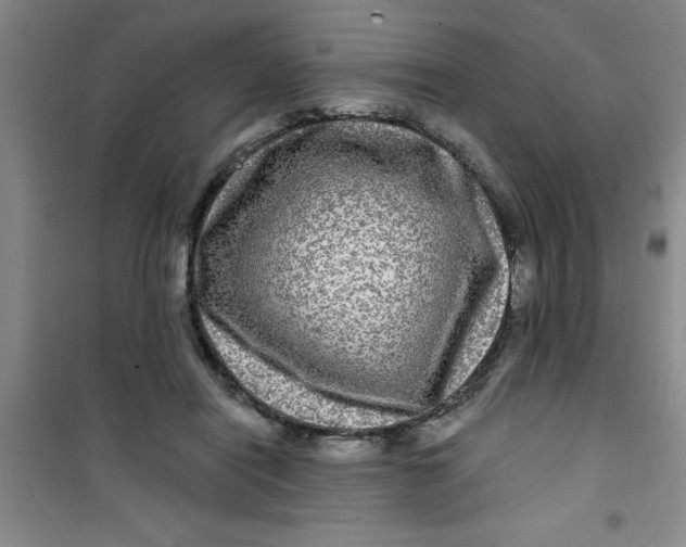 X0000100970454200807221213
