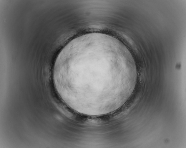X0000100970455200807221213