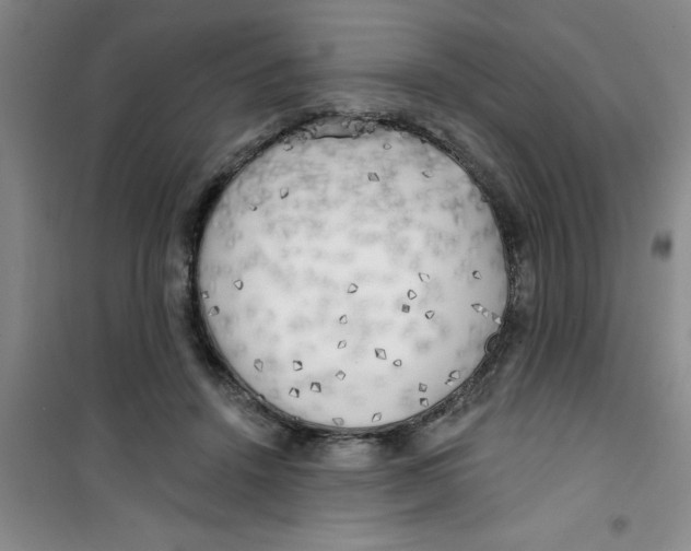 X0000100970456200807221213