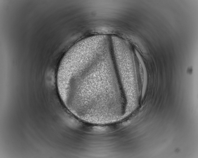 X0000100970457200807221214