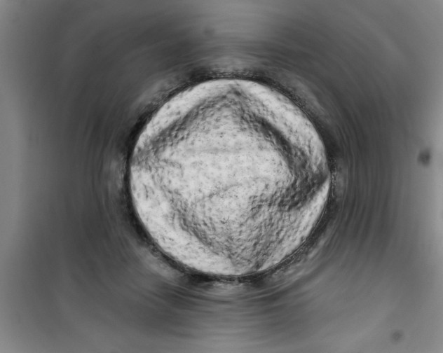 X0000100970458200807221214