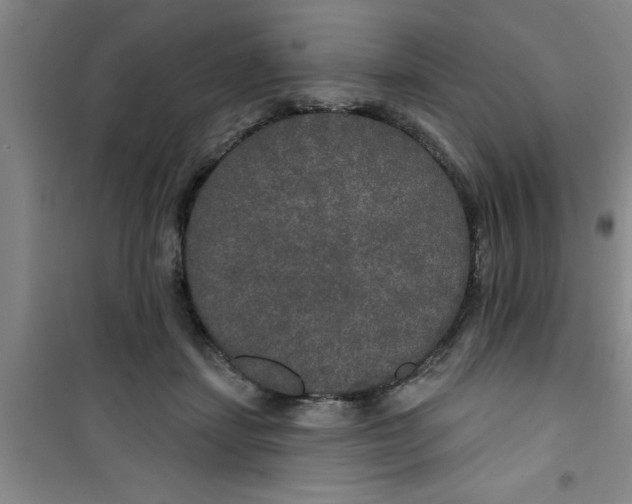 X0000100970459200807221214