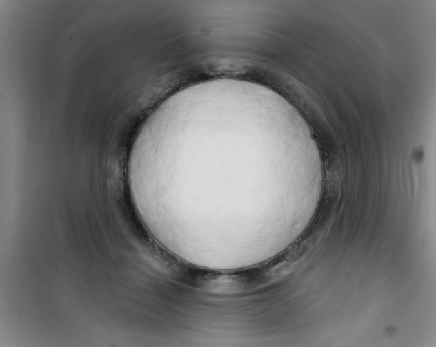 X0000100970460200807221214