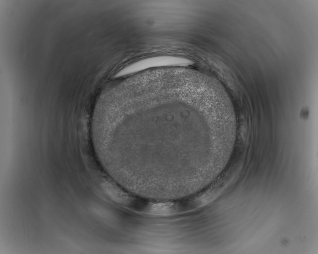 X0000100970461200807221214