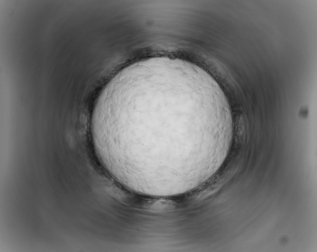 X0000100970463200807221214