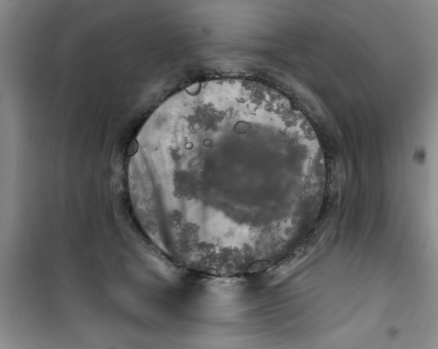 X0000100970465200807221214