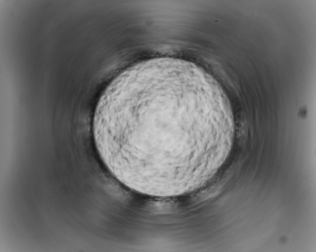 X0000100970466200807221214