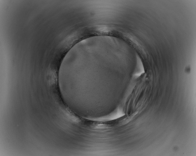 X0000100970467200807221214
