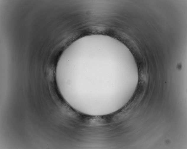 X0000100970468200807221214