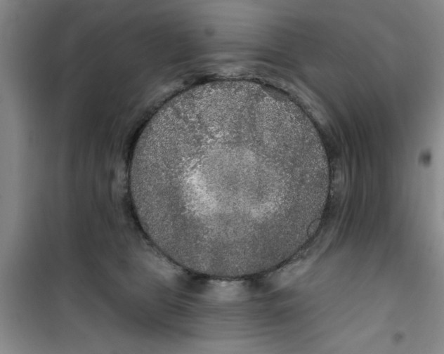 X0000100970469200807221214