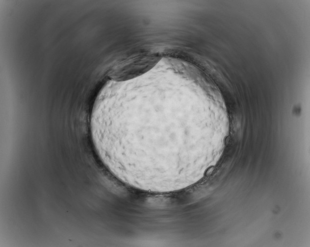 X0000100970470200807221214