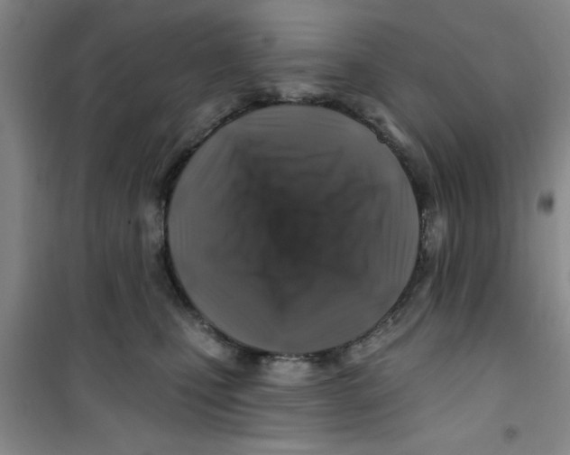 X0000100970471200807221214