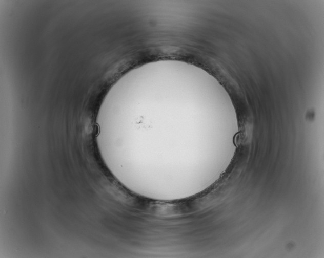 X0000100970472200807221214