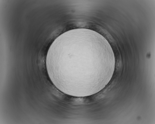X0000100970473200807221214
