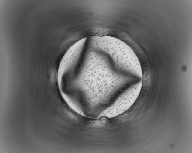 X0000100970474200807221214