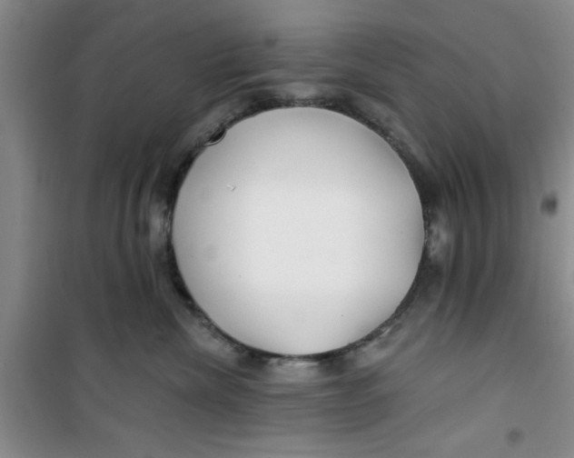 X0000100970476200807221214