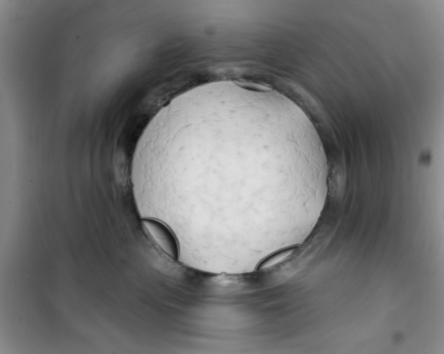 X0000100970477200807221214