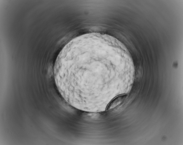 X0000100970478200807221214