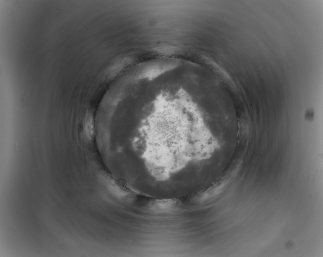X0000100970479200807221214