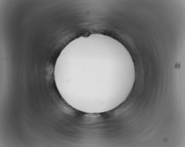X0000100970480200807221214