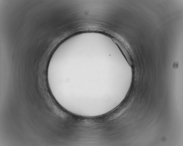 X0000100970481200807221213