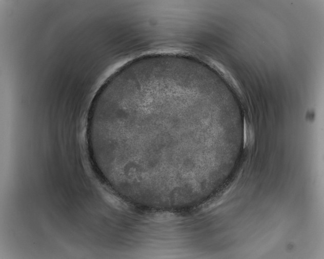 X0000100970483200807221213