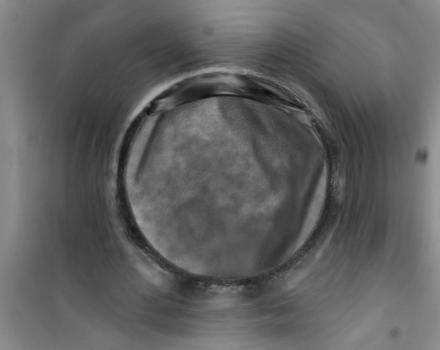 X0000100970484200807221213