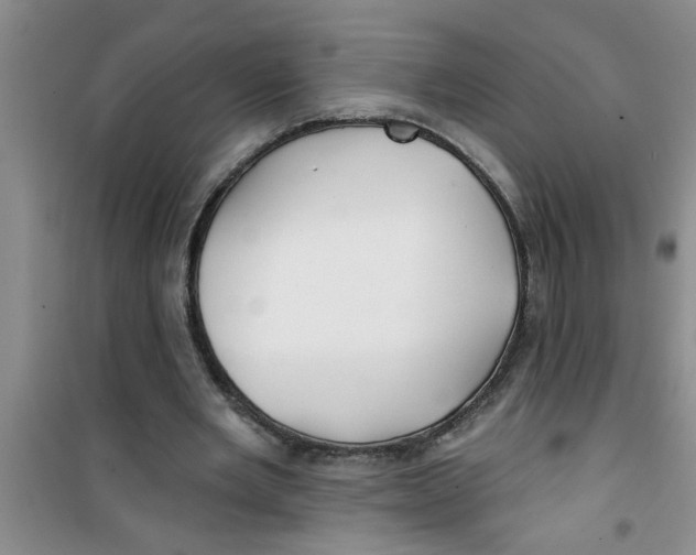 X0000100970485200807221213