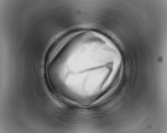 X0000100970486200807221213
