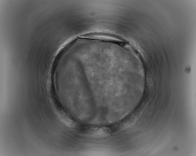 X0000100970488200807221213