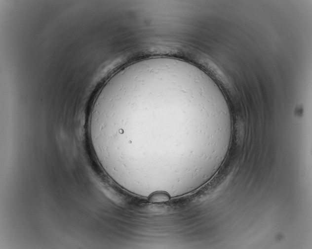 X0000100970490200807221213