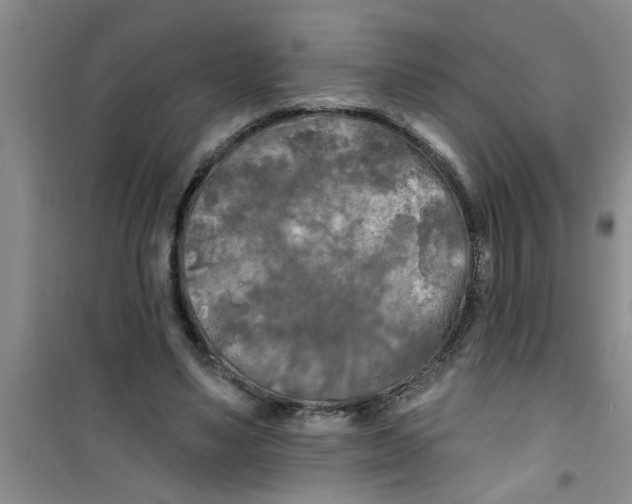 X0000100970491200807221213