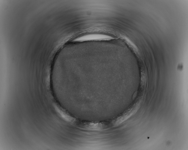 X0000100970493200807221213