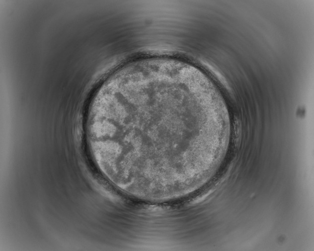 X0000100970494200807221213