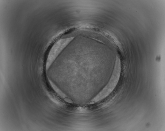X0000100970496200807221213