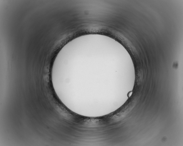 X0000100970497200807221213