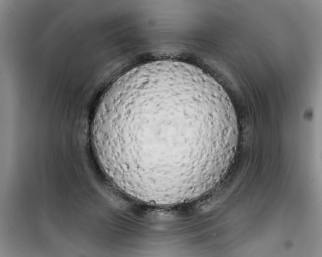 X0000100970498200807221213