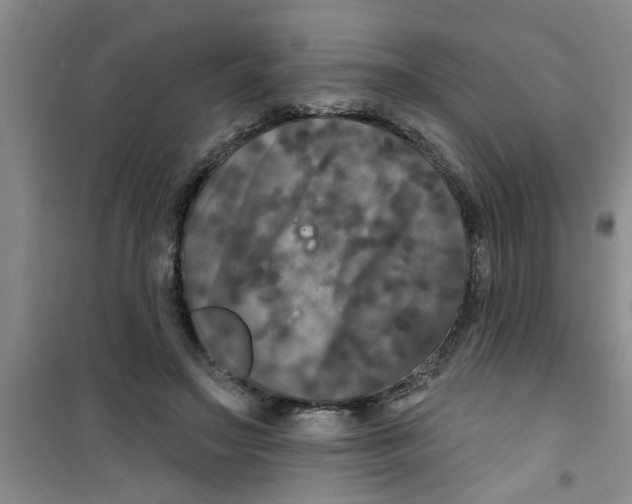 X0000100970499200807221213
