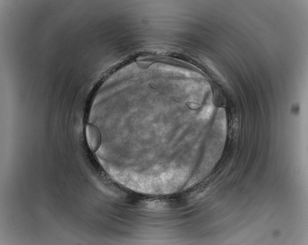 X0000100970500200807221213