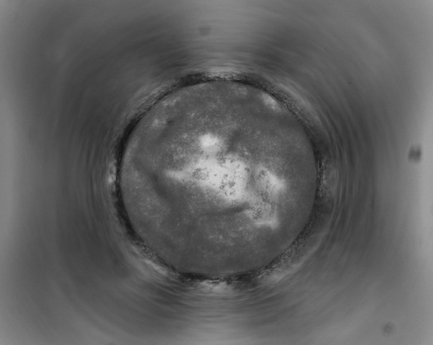 X0000100970502200807221213