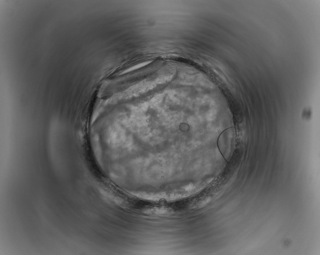 X0000100970503200807221213