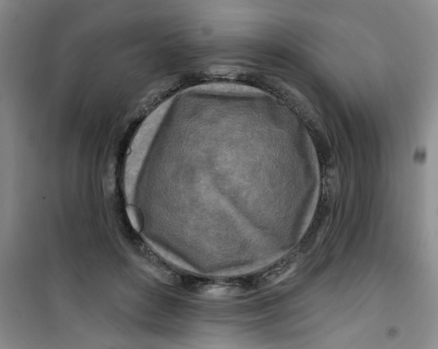 X0000100970504200807221213
