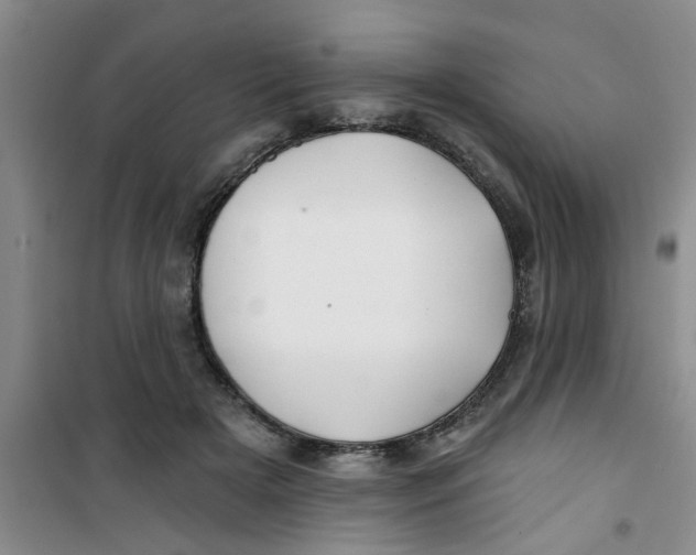 X0000100970505200807221213
