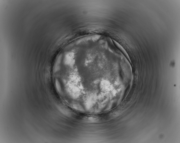 X0000100970506200807221213