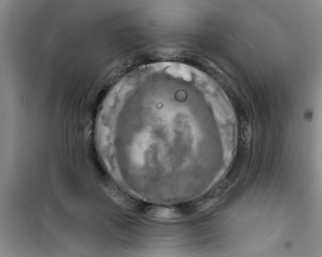 X0000100970507200807221213