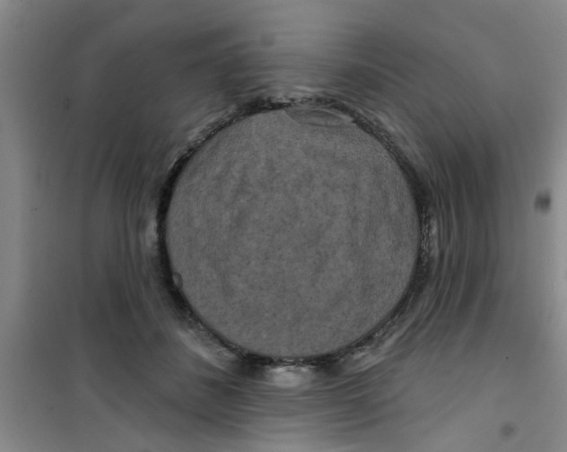 X0000100970508200807221213