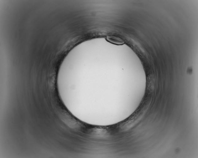 X0000100970509200807221213
